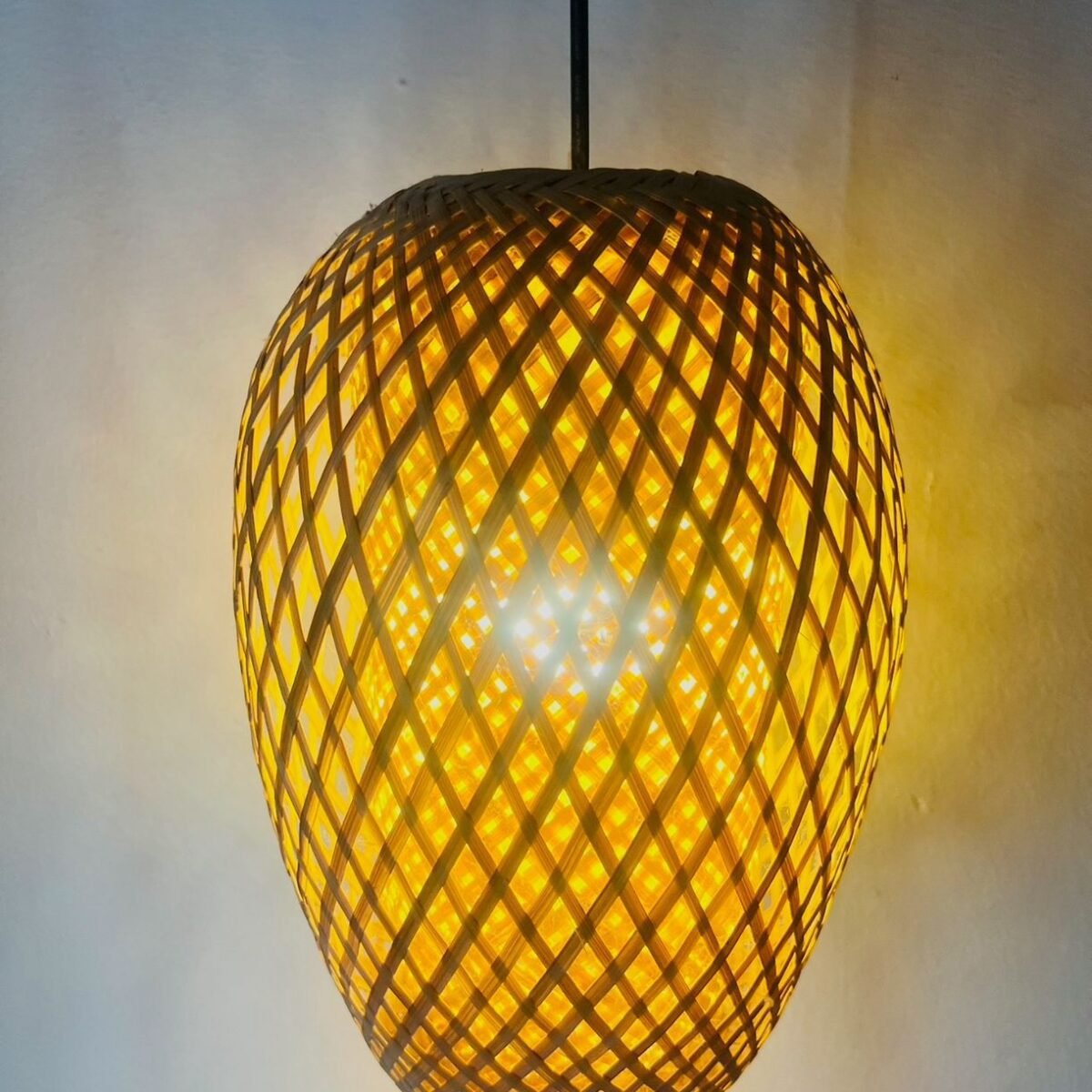 Tulip Double Layer Hanging Lamp Shade